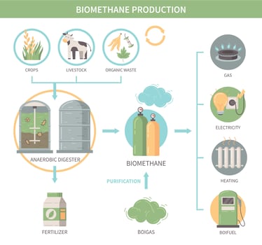 Biomethane Production Infographics vector