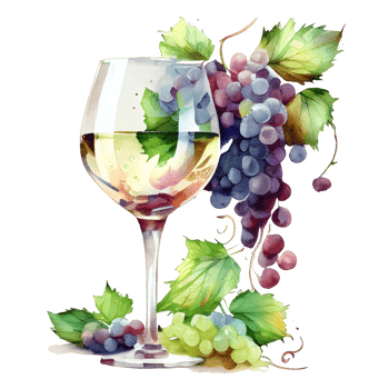 watercolor wine grapes png