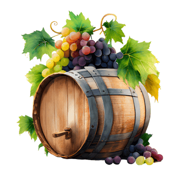watercolor wine grapes png