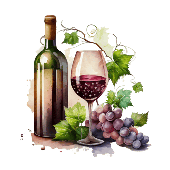 watercolor wine grapes png