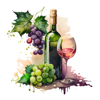 watercolor wine grapes png