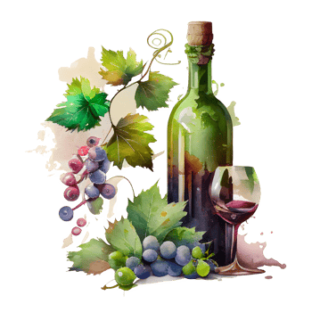 watercolor wine grapes png