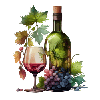 watercolor wine grapes png