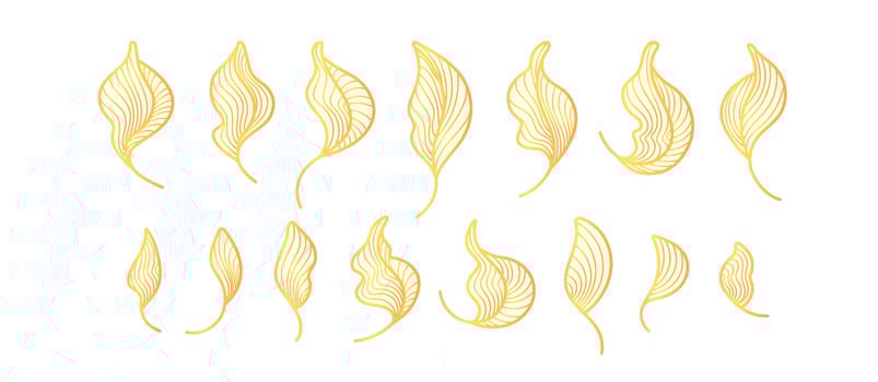 Golden leaves, art deco line set Graphic tea plant vector