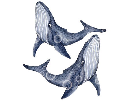 Big blue whale. Hand-drawn watercolor illustration png