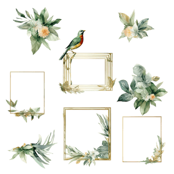 Watercolor Set of Birds with Flowers and Square Golden Frame. png