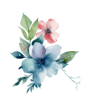 Watercolor Drawing Blossom Clementine Flowers, Leaves Arrangement of Bouquet. Vector Illustration. png