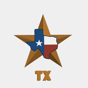 illustration vector of vintage texas design perfect for print,etc