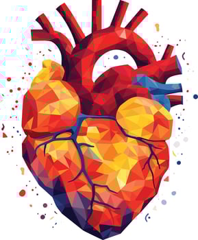 human heart vector illustration on isolated background