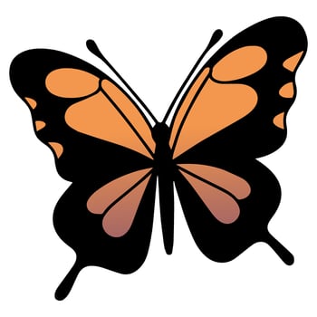 Butterfly beautiful wings, spring nature, vector illustration