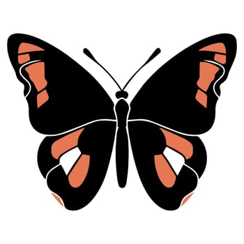Butterfly beautiful wings, spring nature, vector illustration