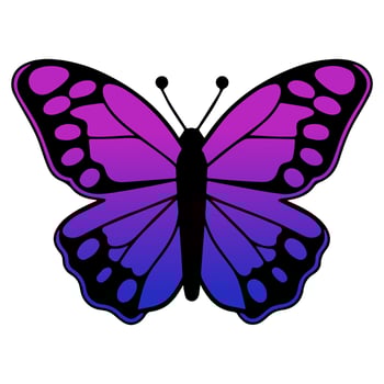 Butterfly beautiful wings, spring nature, vector illustration