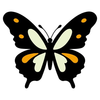 Butterfly beautiful wings, spring nature, vector illustration