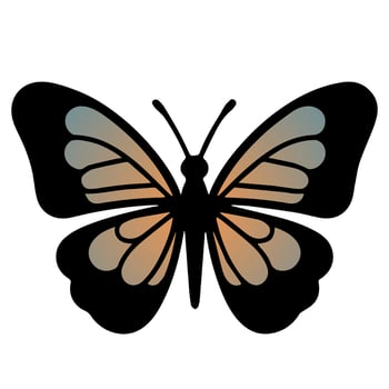 Butterfly beautiful wings, spring nature, vector illustration