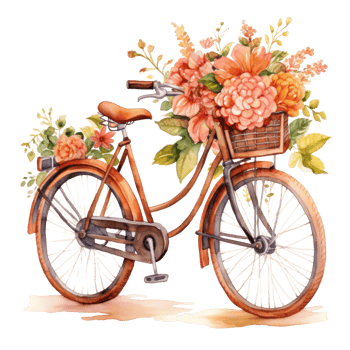 Cute watercolor bicycle with flowers. Illustration png