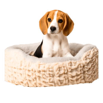 Dog breed Beagle Puppy Bed Pillow, puppy, mattress, animals, dog Like Mammal png