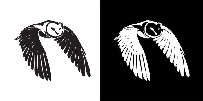 bat icon graphic vector illustration, Black and white color, with transparent background