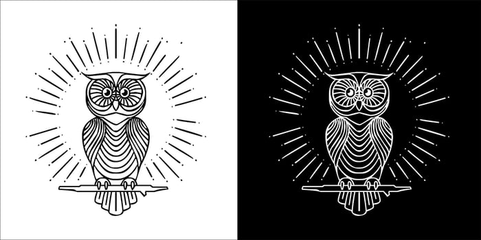 Ilustration, Vector graphic of owl Black and white color, with transparent background