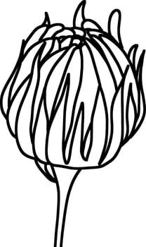 Sketch of Flower Bud vector