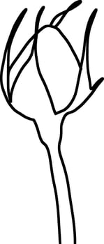 Sketch of Flower Bud vector