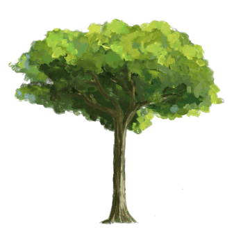 Tree with an isolated background. Green tree oil digital paint. png
