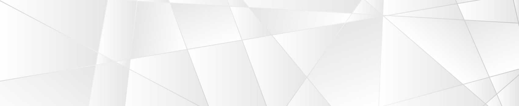 Silver white abstract polygonal tech banner vector