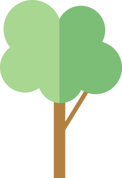 Tree Plant illustration, flat design, and minimal style png