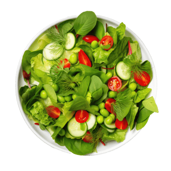 Green vegan salad isolated. Illustration png