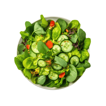 Green vegan salad isolated. Illustration png