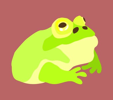Vector bright illustration of toad.