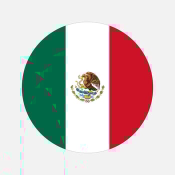 Mexico flag simple illustration for independence day or election vector