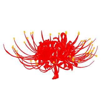 Red spider lily png