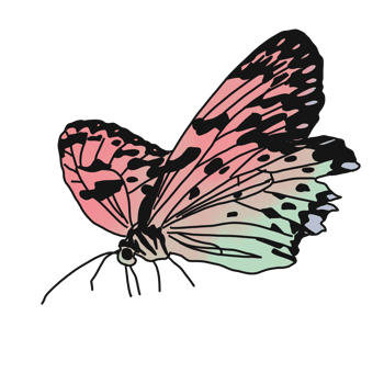 Colorful butterfly flying png