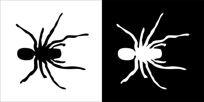 illustration, vector graphic of spider icon, in black and white, with transparent background