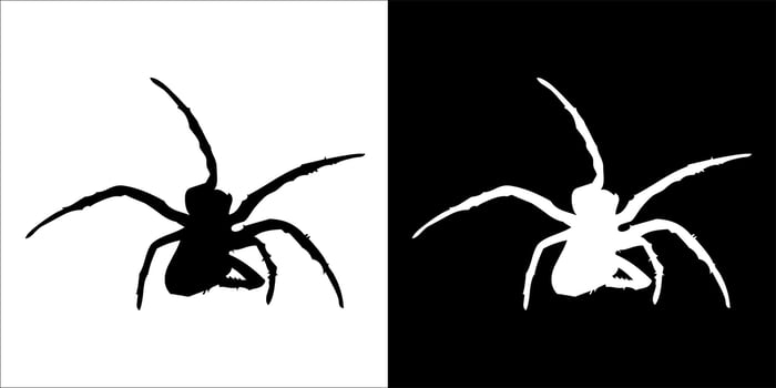 illustration, vector graphic of spider icon, in black and white, with transparent background
