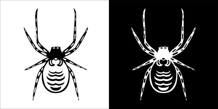 illustration, vector graphic of spider icon, in black and white, with transparent background