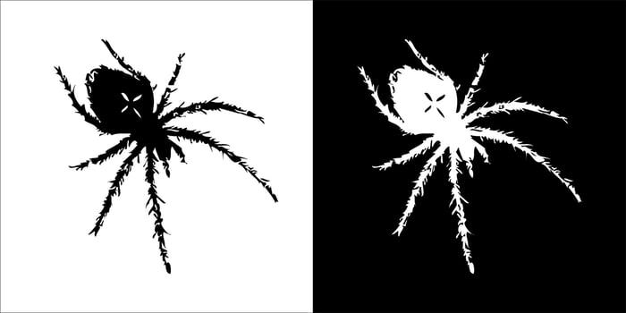 illustration, vector graphic of spider icon, in black and white, with transparent background