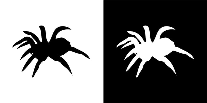 illustration, vector graphic of spider icon, in black and white, with transparent background