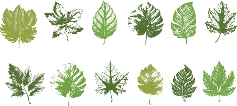 Set green leaves Collection vector for design background