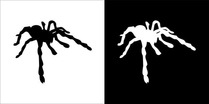 illustration, vector graphic of spider icon, in black and white, with transparent background