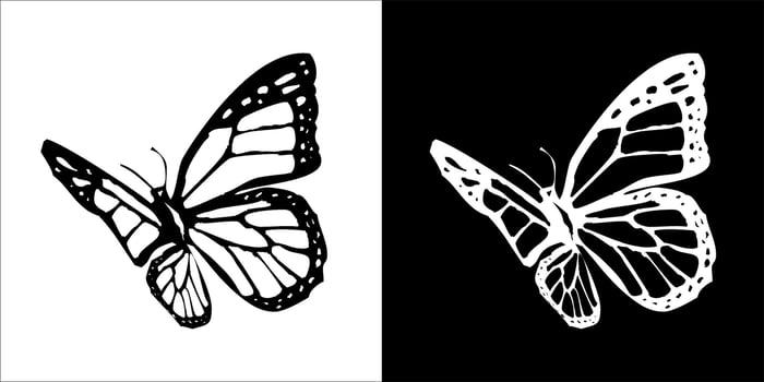 illustration, vector graphic of butterfly icon, in black and white, with transparent background