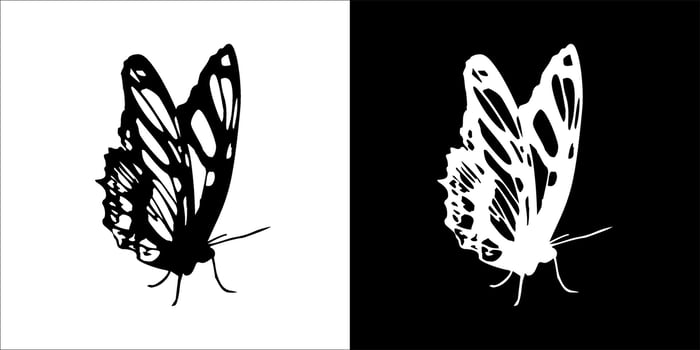 illustration, vector graphic of butterfly icon, in black and white, with transparent background
