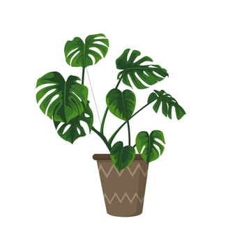 illustration of a plant in a pot vector