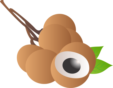 Longan fruit PNG