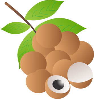 Longan fruit PNG