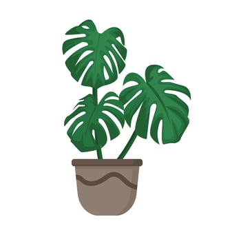 illustration of a plant in a pot vector