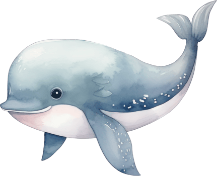 Cute Whale Watercolor Illustration. png
