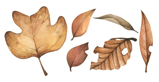 Collection of multicolored fallen autumn leaves. Watercolor illustration. vector