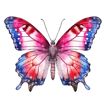 Colorful Butterflies watercolor clipart. png