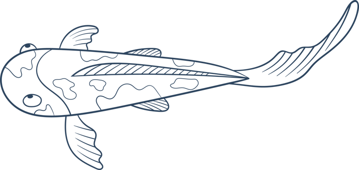 Fish clipart design png